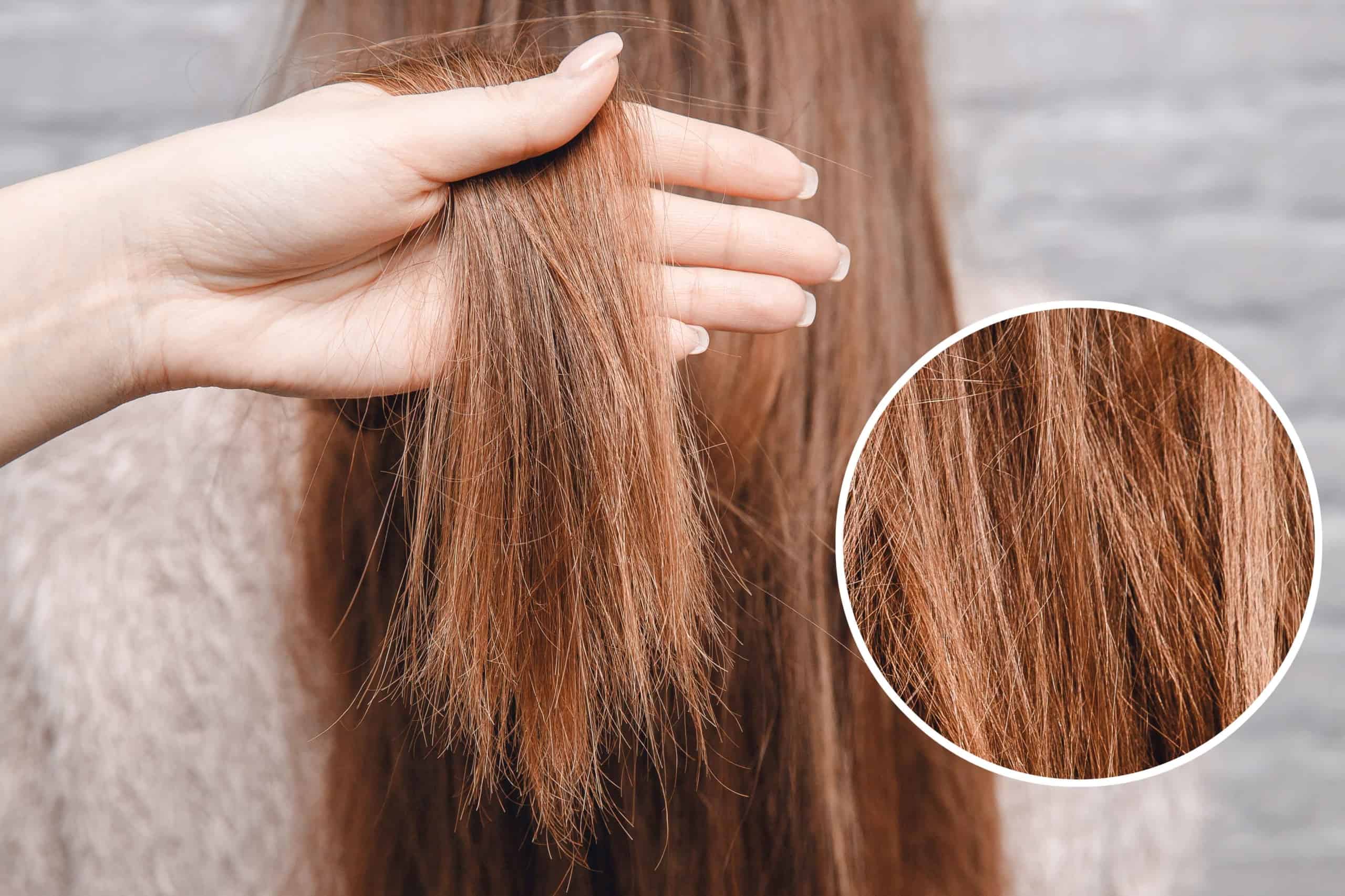 Damage Breakage Split ends